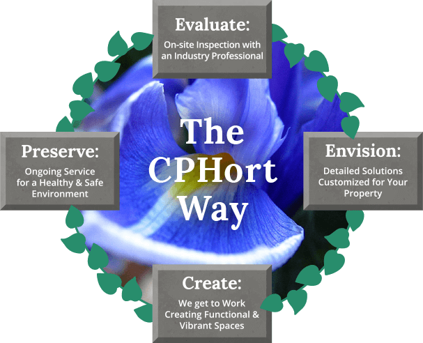 Cornerstone_ProcessGraphic_FINAL