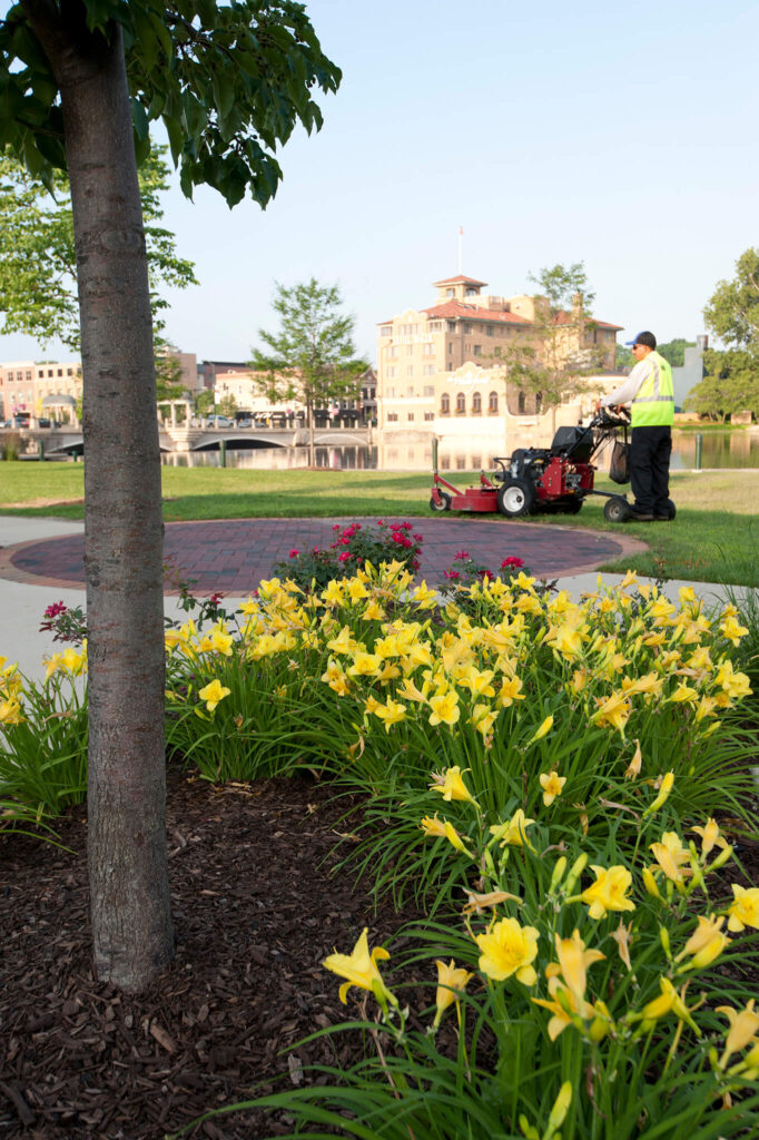 Mowing _ Line Trimming (155)