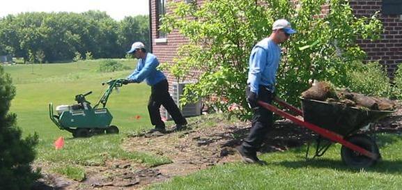 C. Com Pg. Desgn Enhncmnt Sod Cut