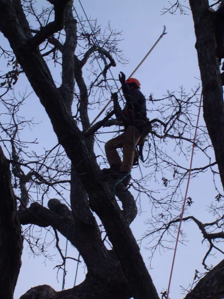 Wightman-Autumn 1.10 (3)