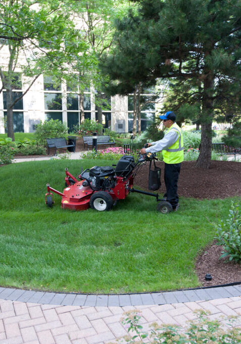 Mowing _ Line Trimming (92)