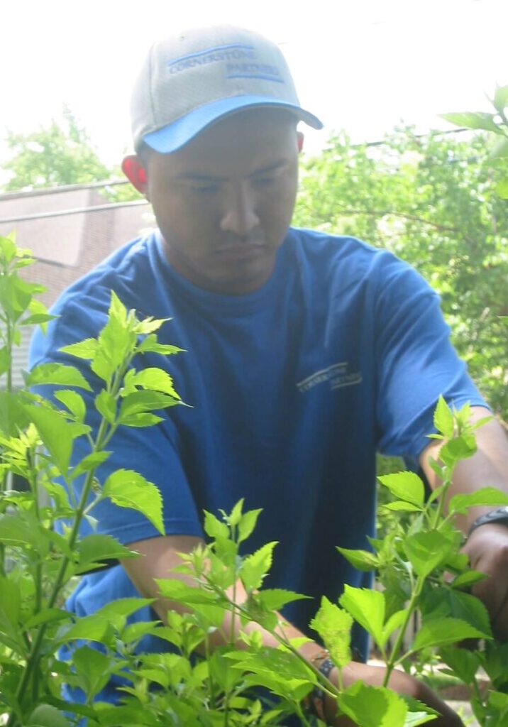 Structure Pruning (1)